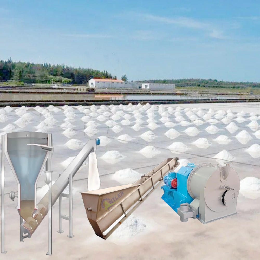 Salt Processing